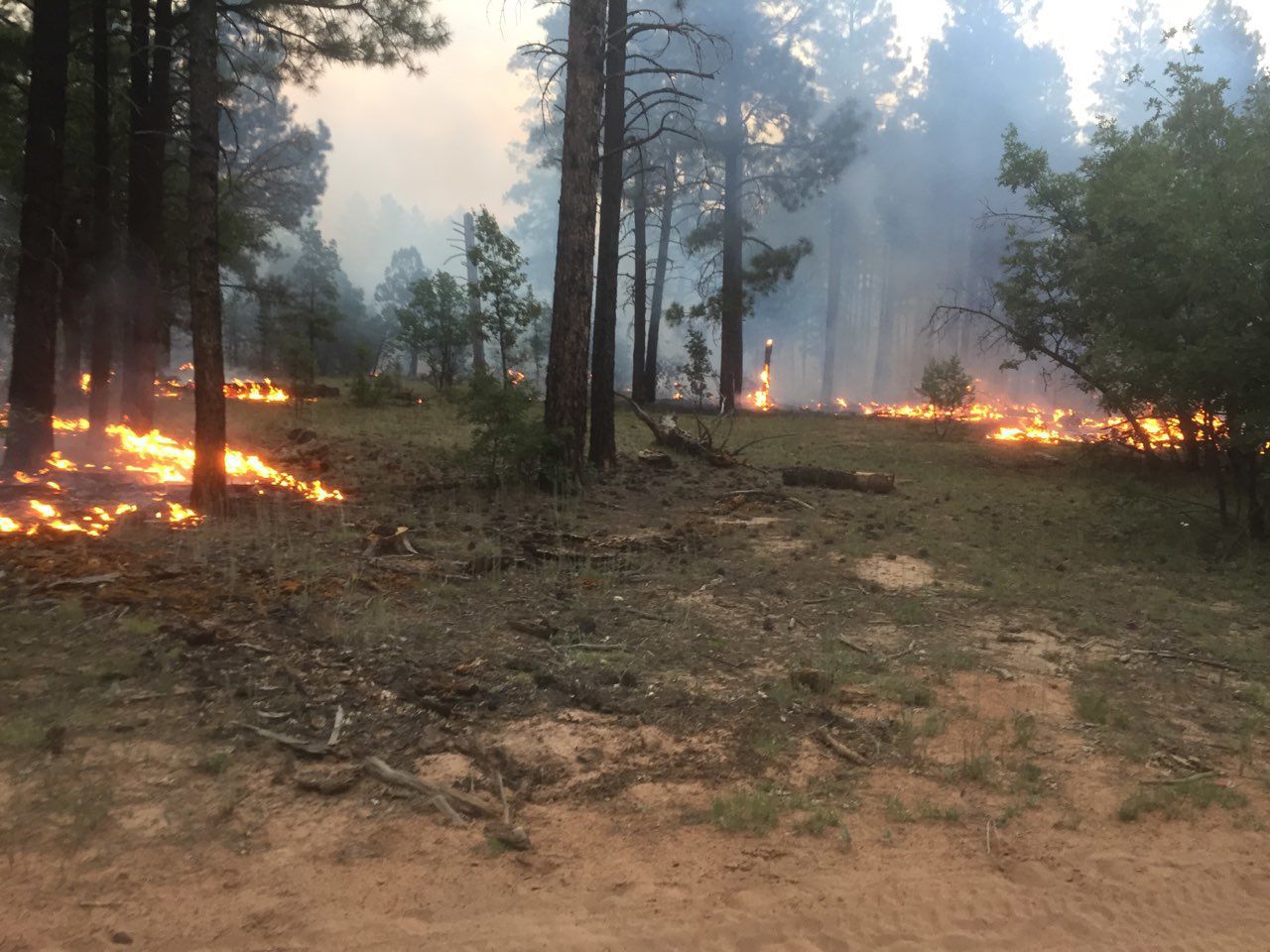 Bagnal Fire ground creep